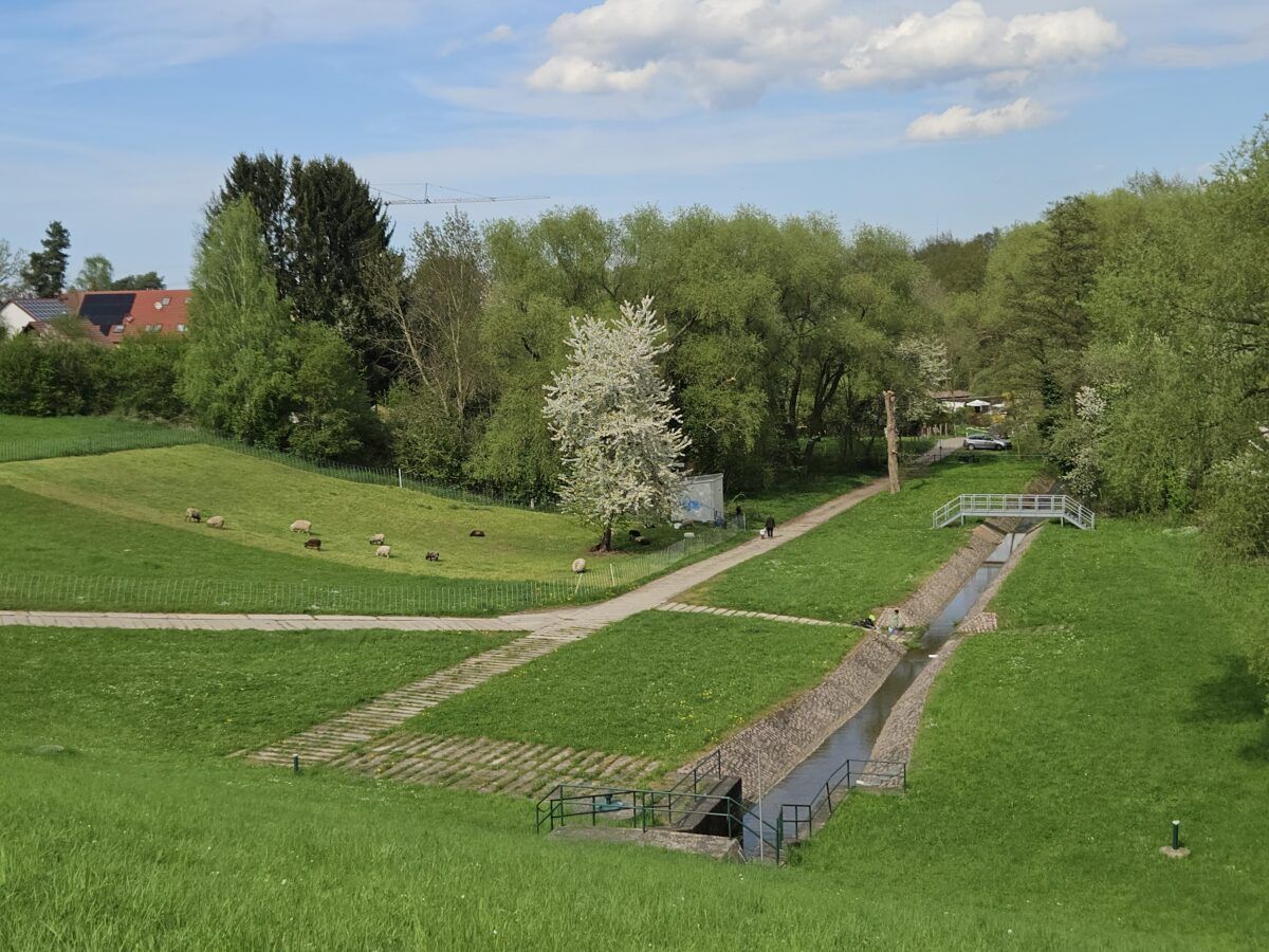 Monatsrückblick April 25: Sonnig, mit Aussicht auf Fleischwölkchen